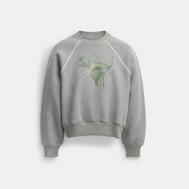 Coach rexy sweatshirt hotsell